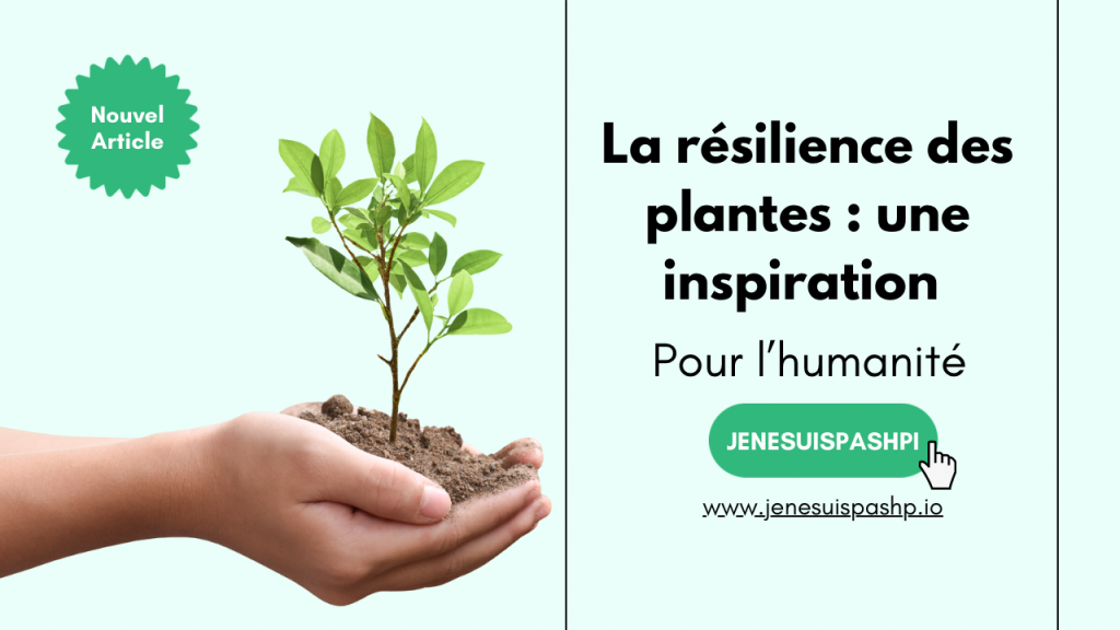 La résilience des plantes : une leçon pour l’humanité ?